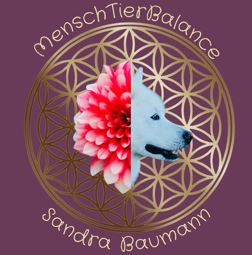 MenschTierBalance